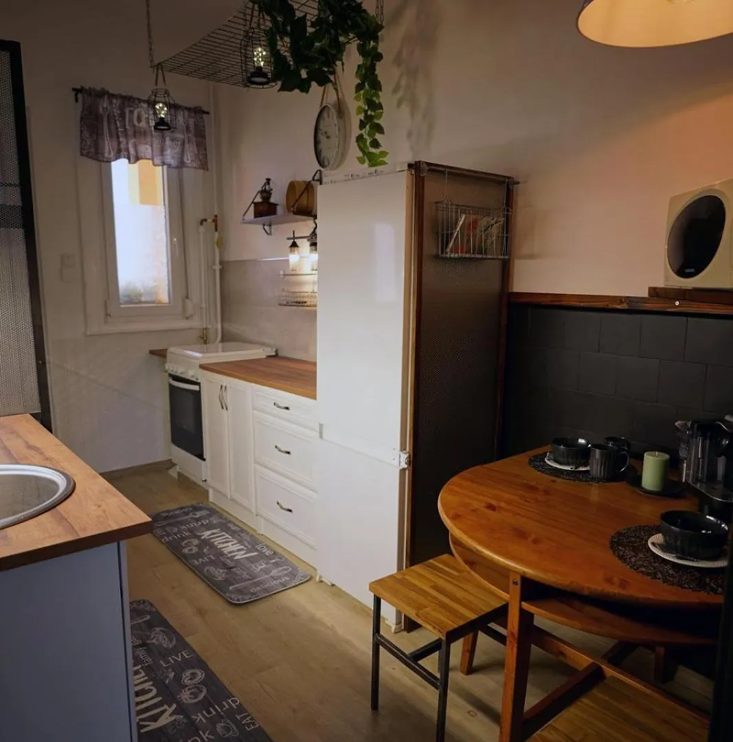 Mini Industrial Apartment Βουδαπέστη